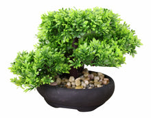 Load image into Gallery viewer, Eastern faux bonsai tree in boxwood style
